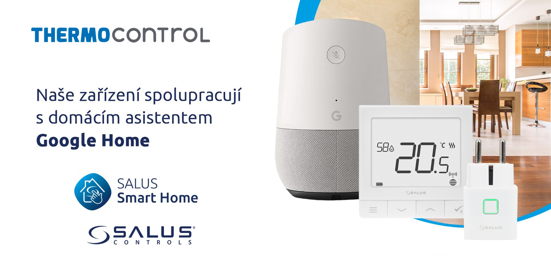 Salus hot sale google home